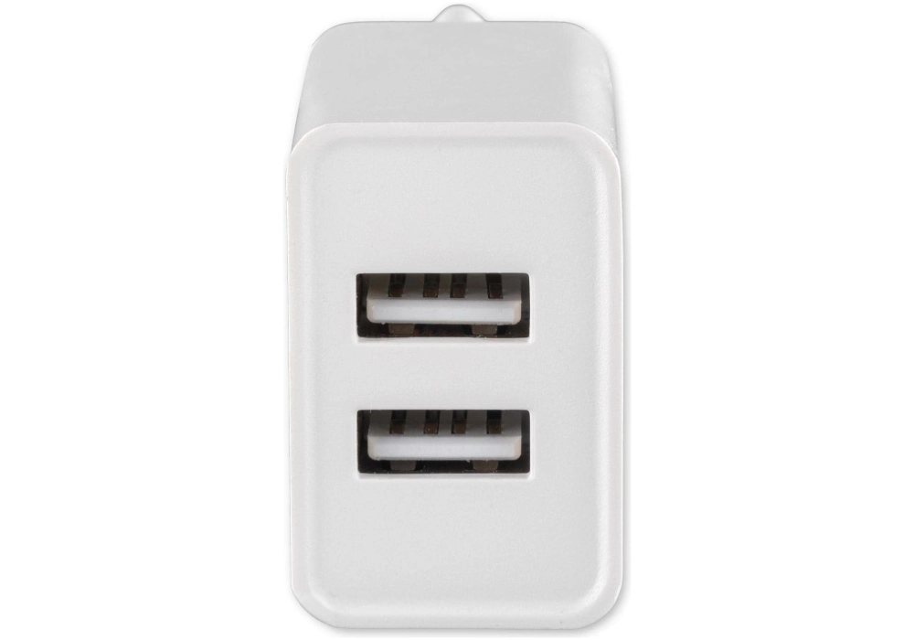 4smarts Chargeur mural USB VoltPlug Dual 12W