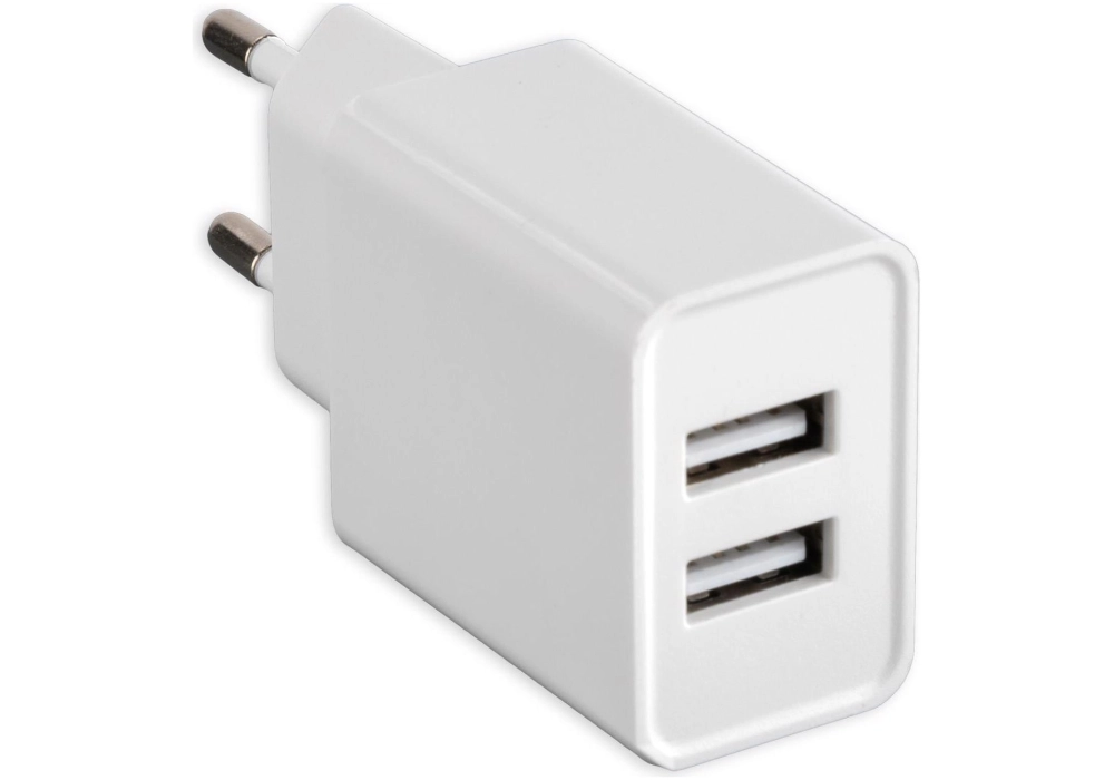 4smarts Chargeur mural USB VoltPlug Dual 12W