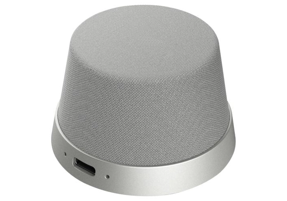 4smarts Haut-parleur Bluetooth SoundForce Gris, Argenté