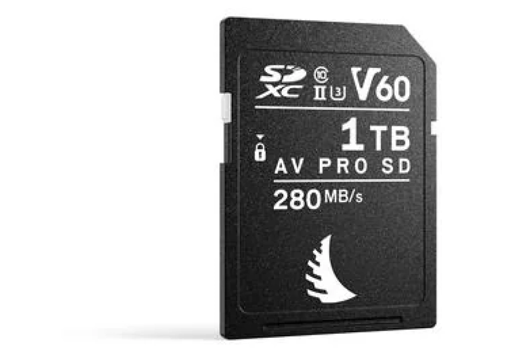 Angelbird Carte SDXC AV Pro SD V60 Mk2 1024 GB