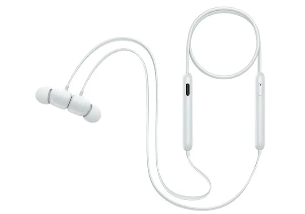 Apple Beats Flex Smoke Gray