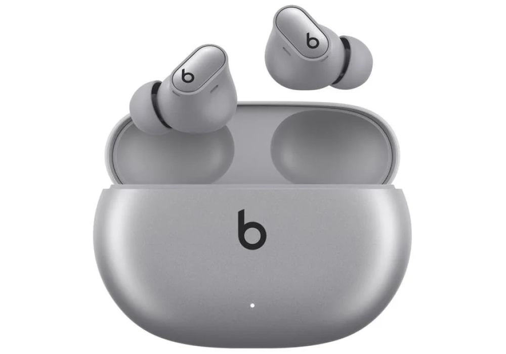 Apple Beats Studio Buds Plus Cosmic Silver