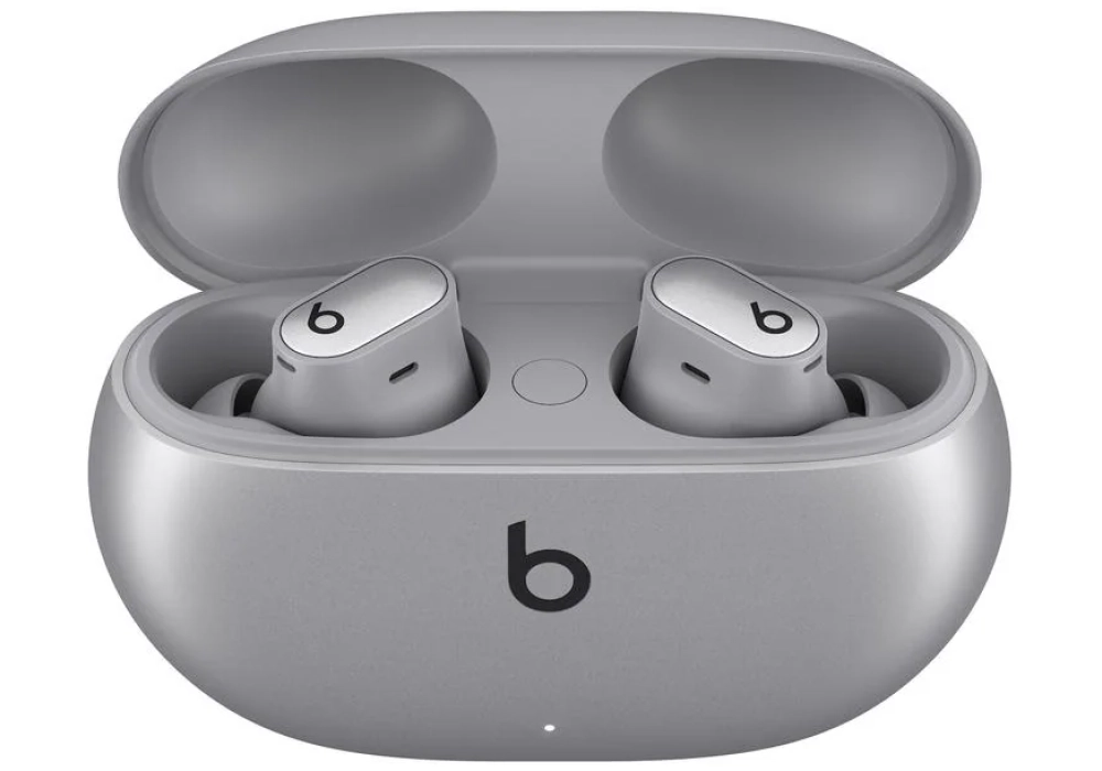 Apple Beats Studio Buds Plus Cosmic Silver