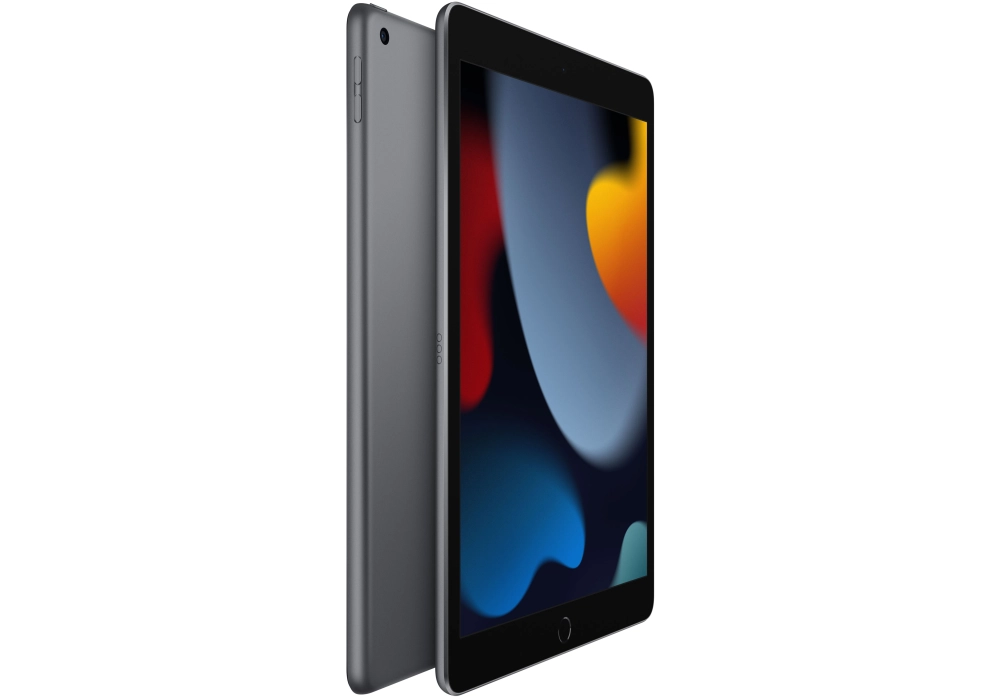 Apple iPad 9th Gen. Cellular - 256 GB (Gris sidéral)