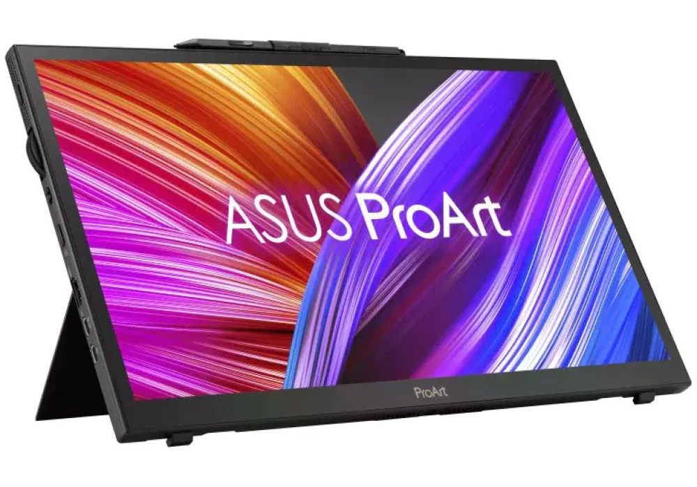 ASUS ProArt PA169CDV