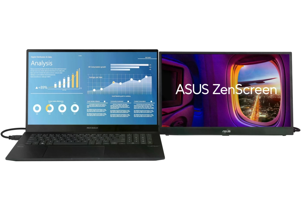 ASUS ZenScreen MB17AHG