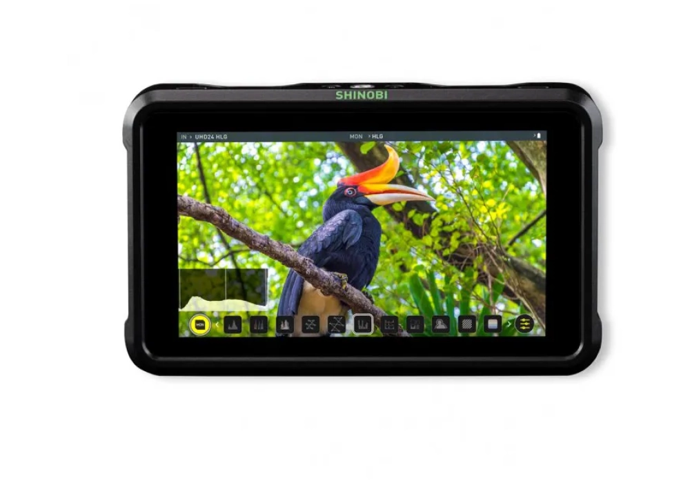 Atomos Shinobi HDMI