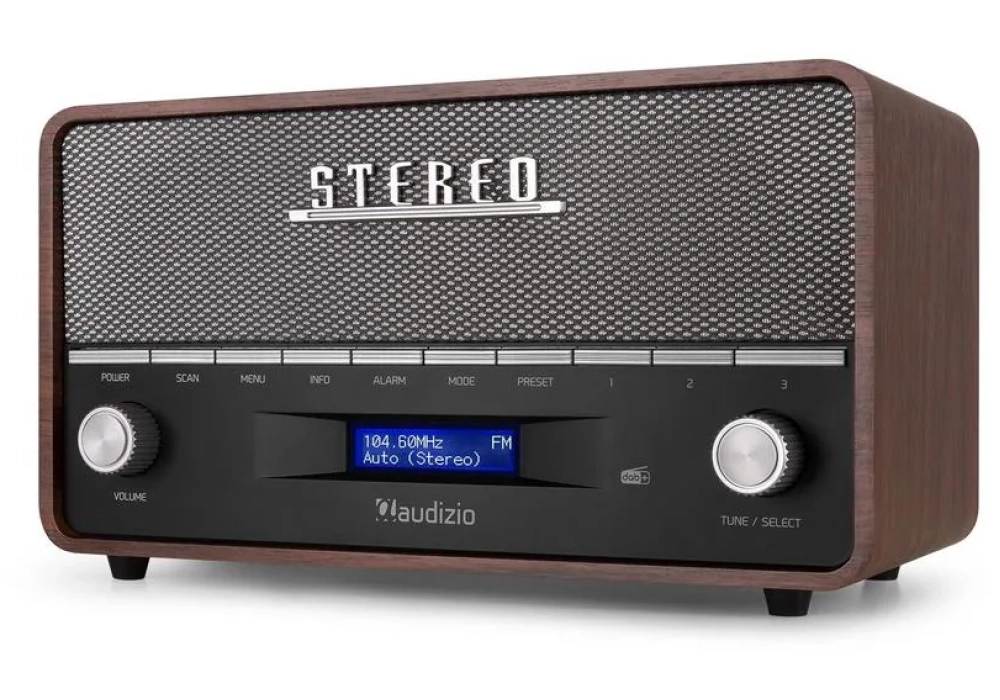 Audizio Radio DAB+ Corno Gris