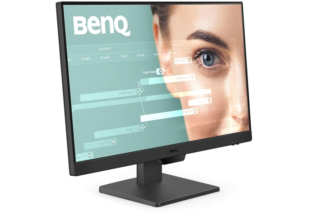 BenQ GW2490