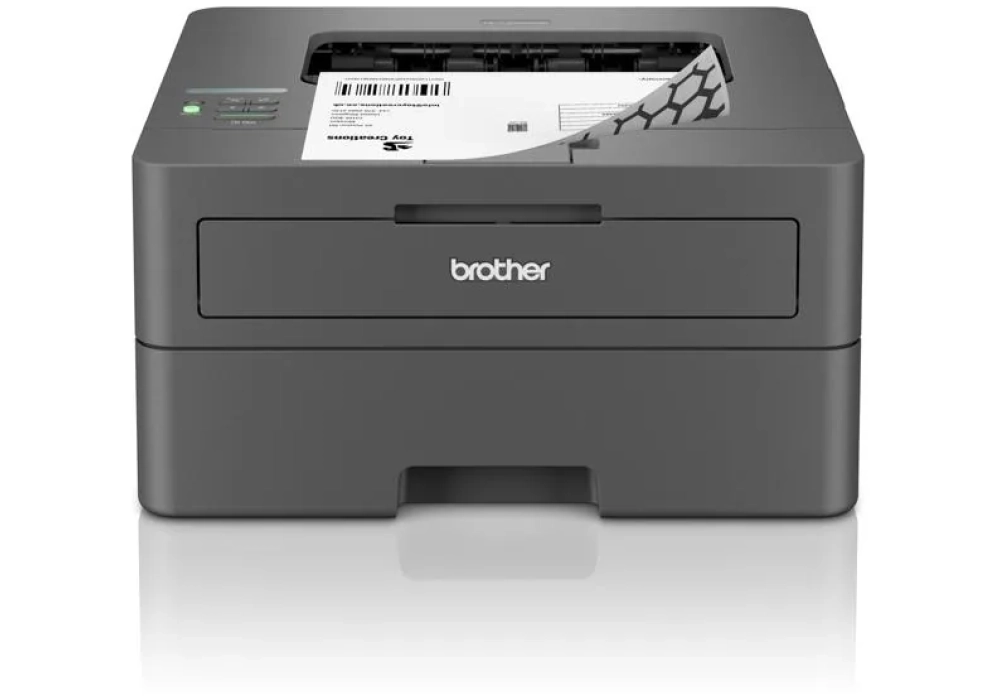 Brother HL-L2400DW