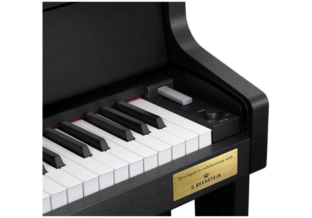 Casio Piano électrique CELVIANO Grand Hybrid GP-310BK Noir