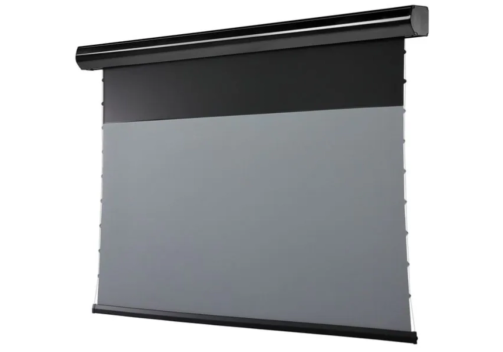 Celexon Écran mural motorisé HomeCinema Plus Tension 221.4x124.5 cm Noir