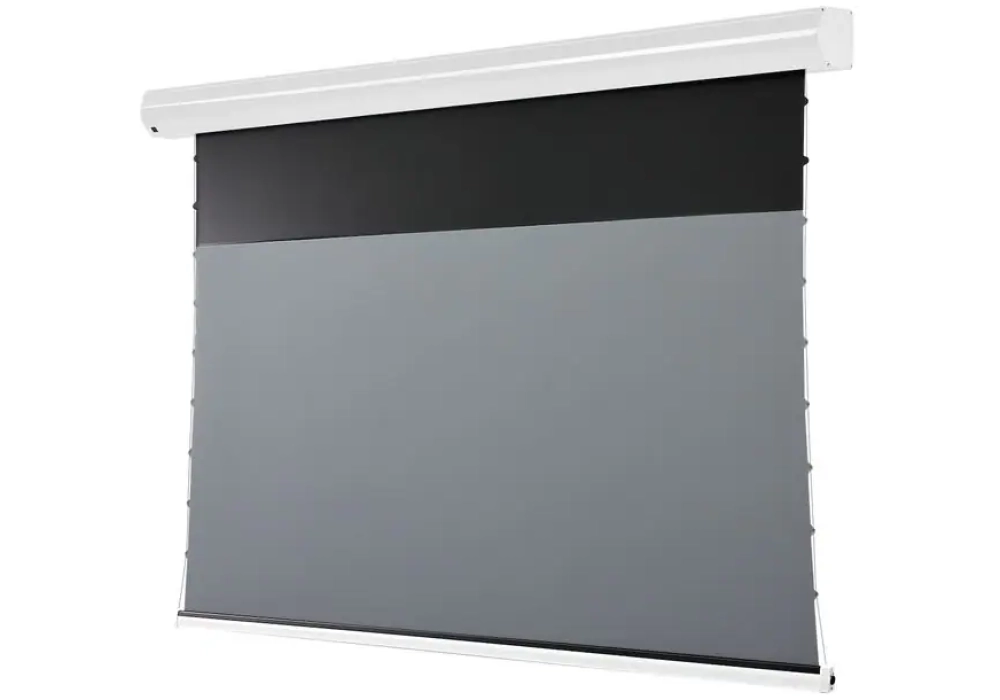 Celexon Écran mural motorisé HomeCinema Plus Tension 265.7x149.4 cm Blanc