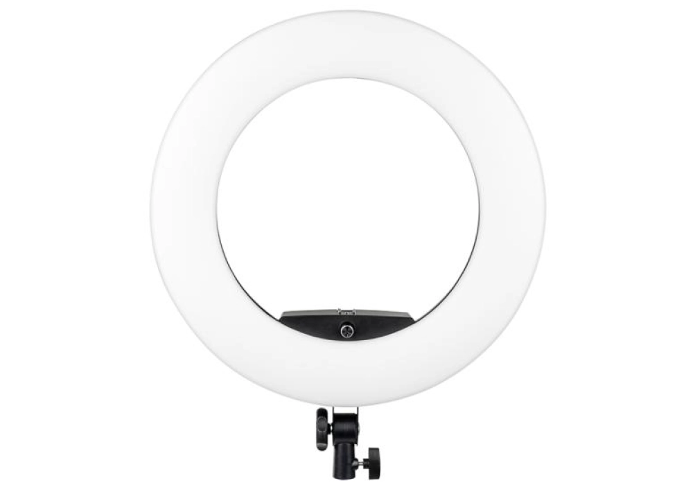 Dörr Ring Light SL-480 LED