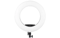 Dörr Ring Light SL-480 LED