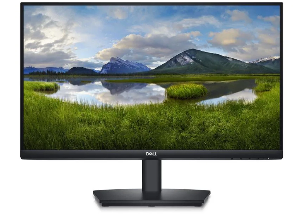 DELL E2424HS