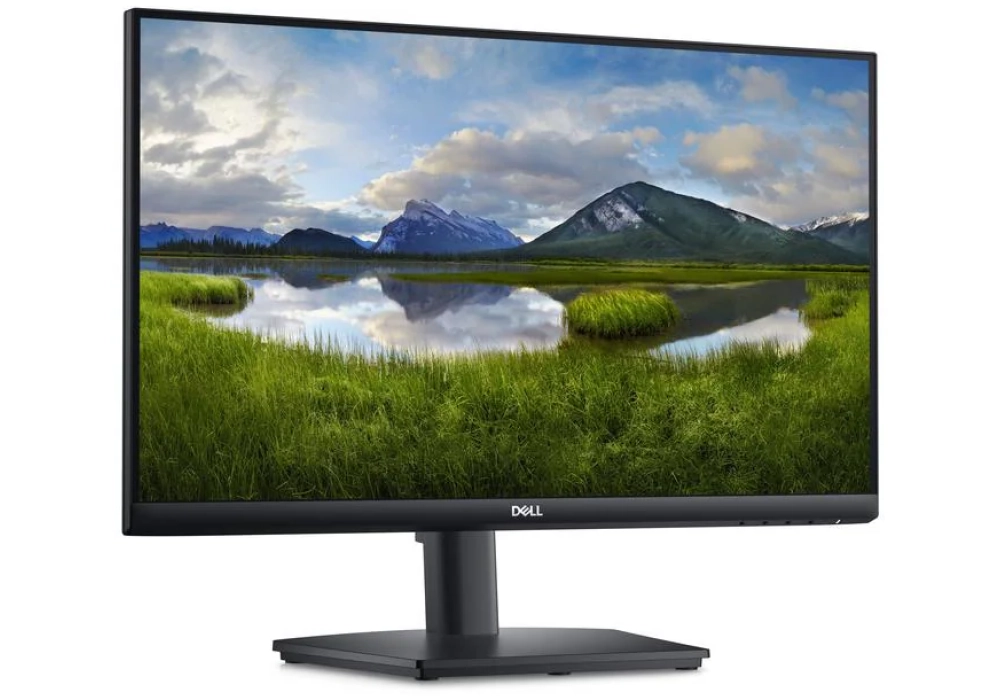 DELL E2424HS