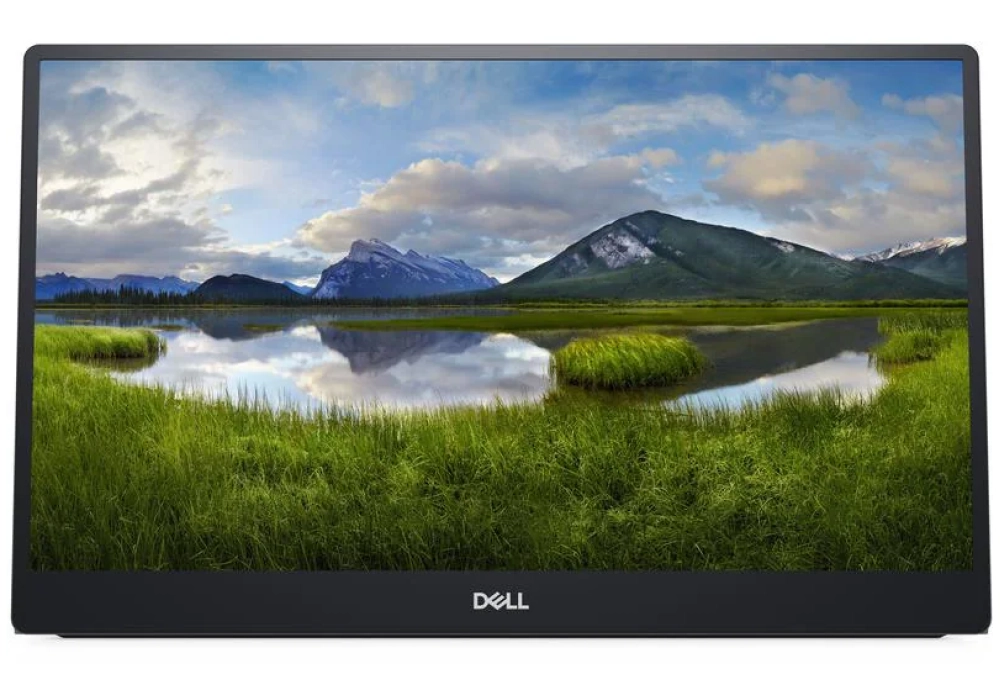 DELL P1424H