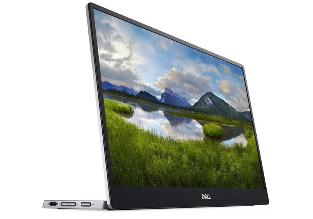 DELL P1424H