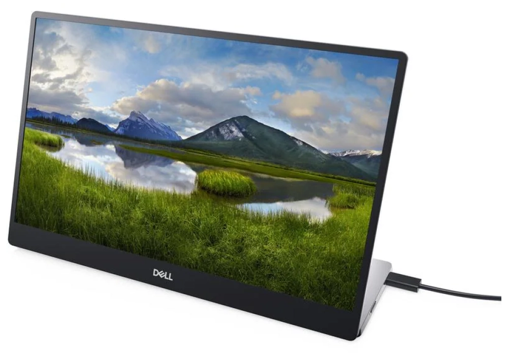 DELL P1424H