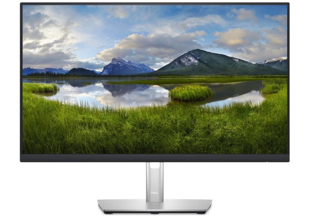 Dell P2423DE