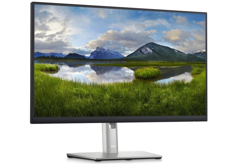 Dell P2423DE