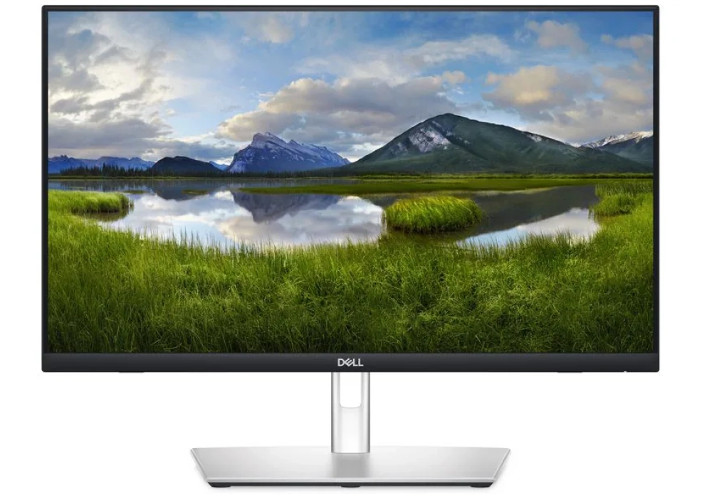 DELL P2424HT