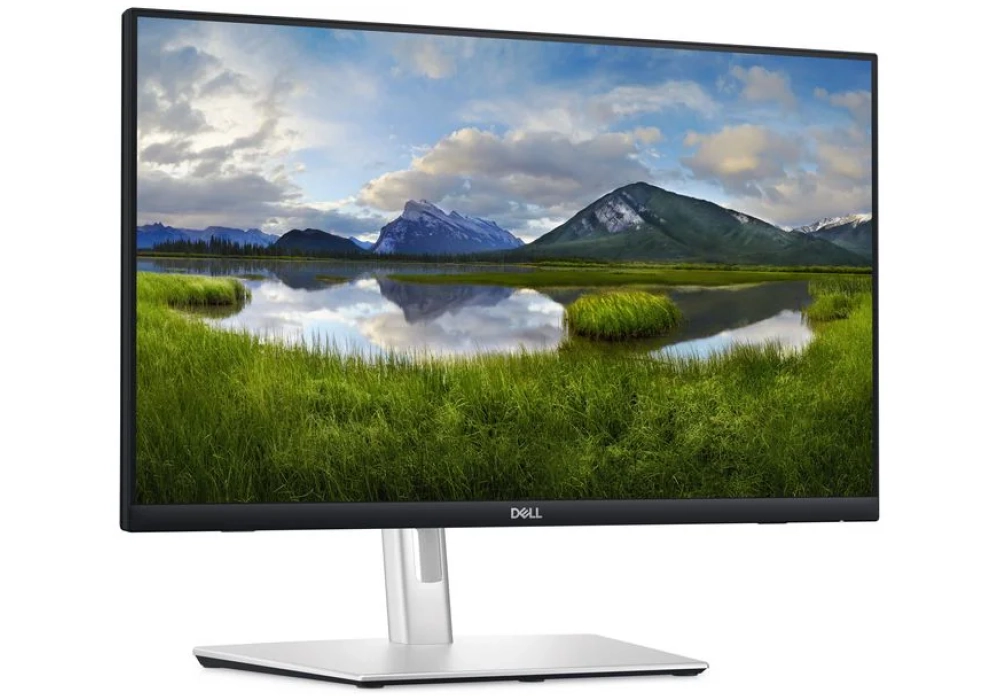 DELL P2424HT