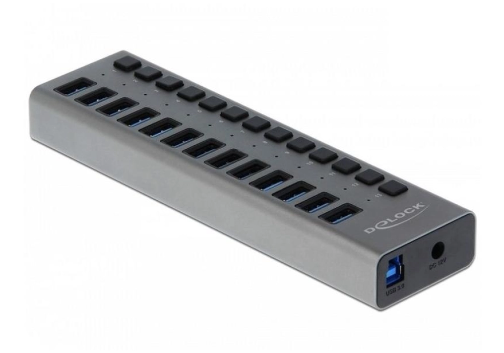 DeLOCK 13-port USB 3.0 Hub + Switch