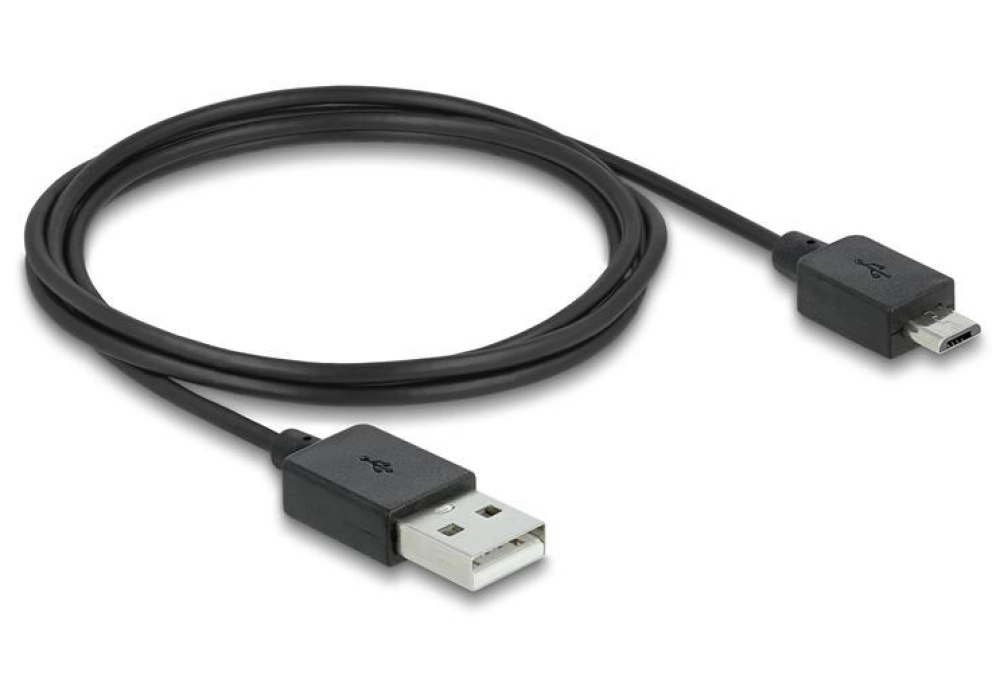 Delock Adaptateur 8K/30Hz HDMI - DisplayPort