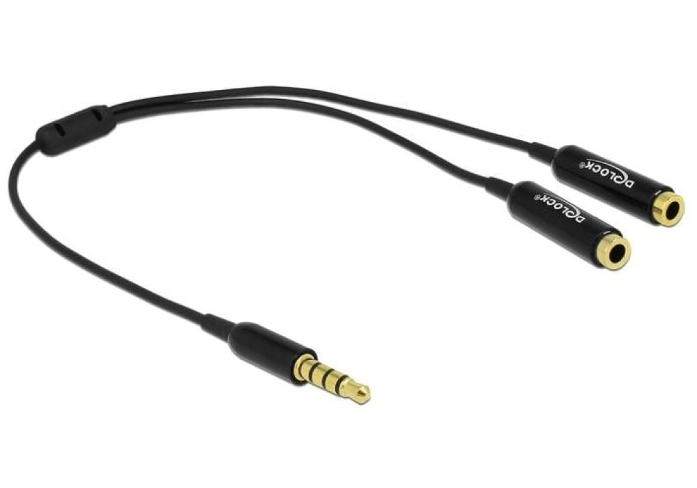 DeLOCK Adaptateur audio 3.5 mm mâle 4 broches > 2x 3.5 mm femelle - 0.25 m (Noir)