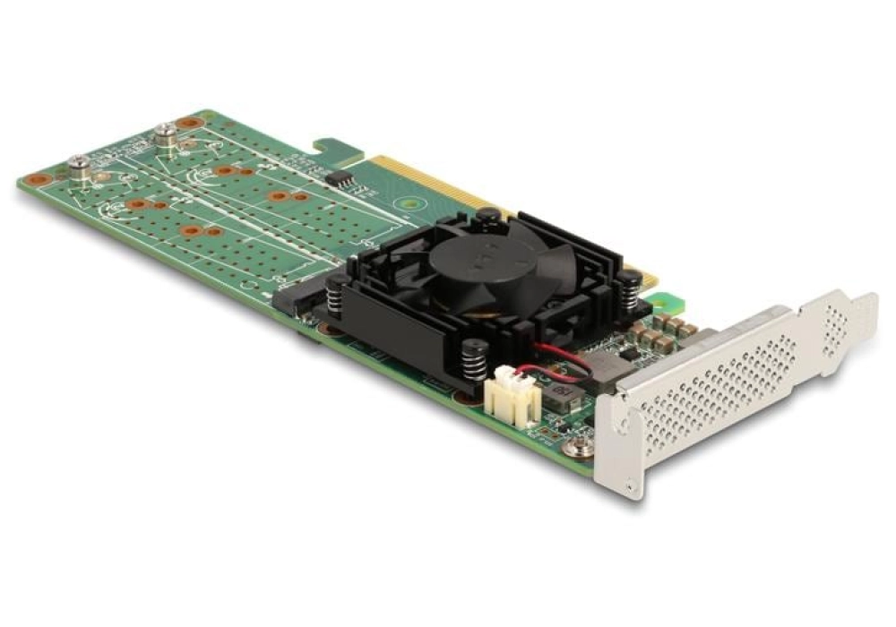 DeLOCK Adaptateur de bus hôte PCI Express x16 - 4x NVMe M.2 Key M