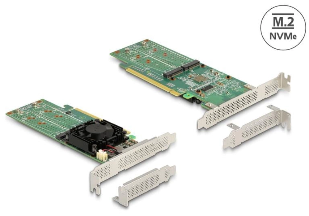 DeLOCK Adaptateur de bus hôte PCI Express x16 - 4x NVMe M.2 Key M