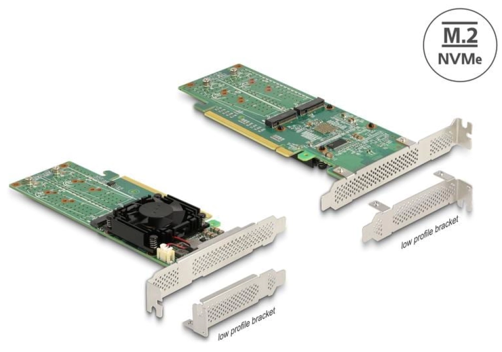 DeLOCK Adaptateur de bus hôte PCI Express x16 - 4x NVMe M.2 Key M