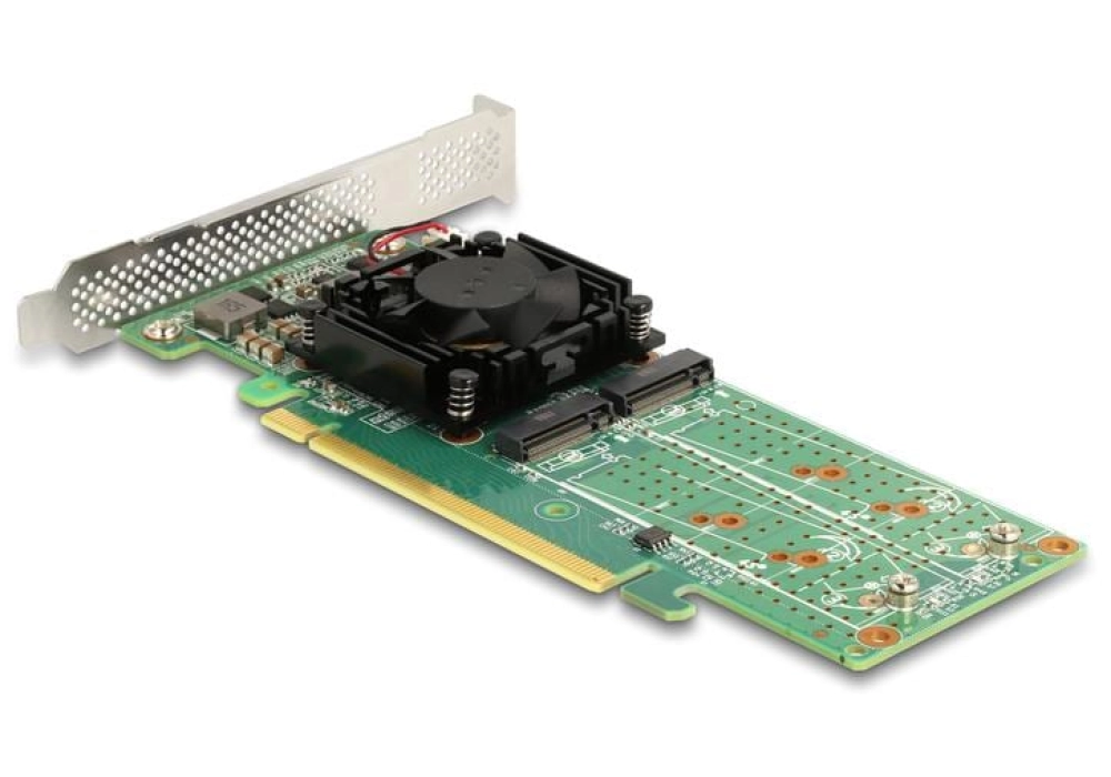 DeLOCK Adaptateur de bus hôte PCI Express x16 - 4x NVMe M.2 Key M