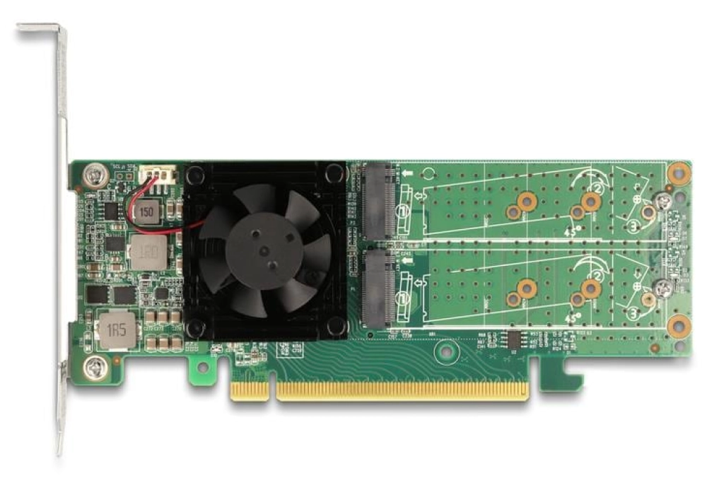 DeLOCK Adaptateur de bus hôte PCI Express x16 - 4x NVMe M.2 Key M