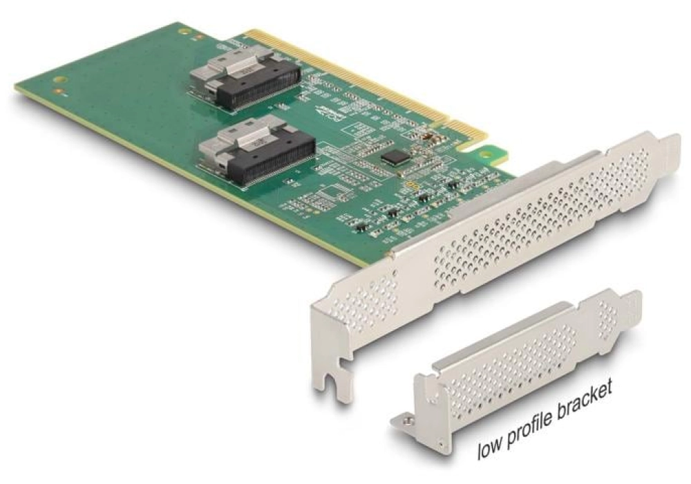 DeLOCK Adaptateur de bus hôte PCI Express x16 - 4x SFF-8639