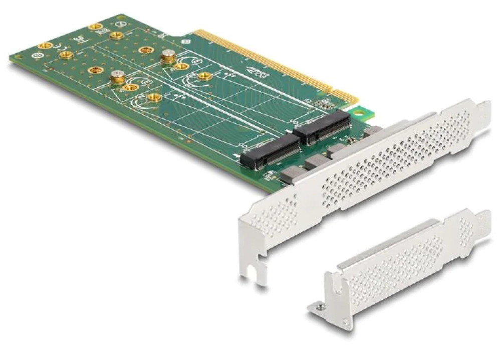 Delock Adaptateur PCI-Express 4.0 x16 - 4 x NVMe M.2 Key M 110 mm