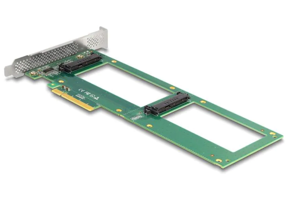 Delock Adaptateur PCI Express 4.0 x8 - 2x U.2 NVMe SFF-8639