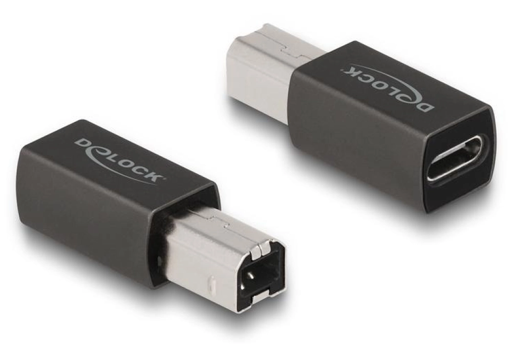 DeLOCK Adaptateur Prise USB C - Connecteur USB B