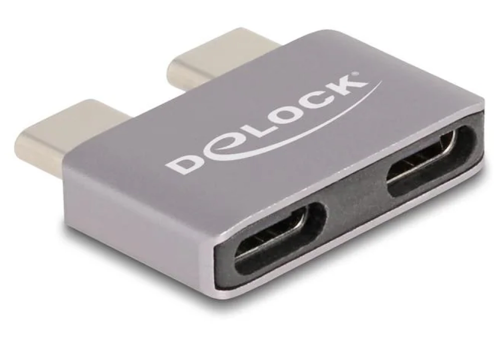 Delock Adaptateur Protège-port 2x USB C - 2x USB C