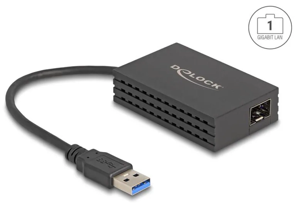 Delock Adaptateur USB Type-A à 1 x SFP LAN Gigabit