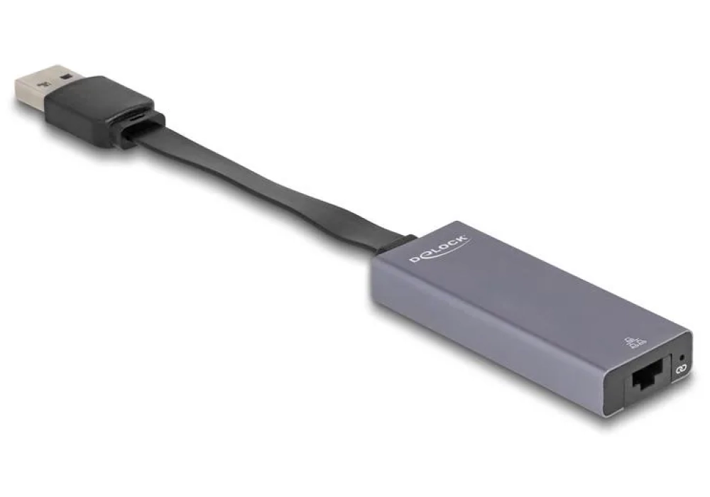 Delock Adaptateur USB Type-A à 2.5 Gigabit LAN, slim