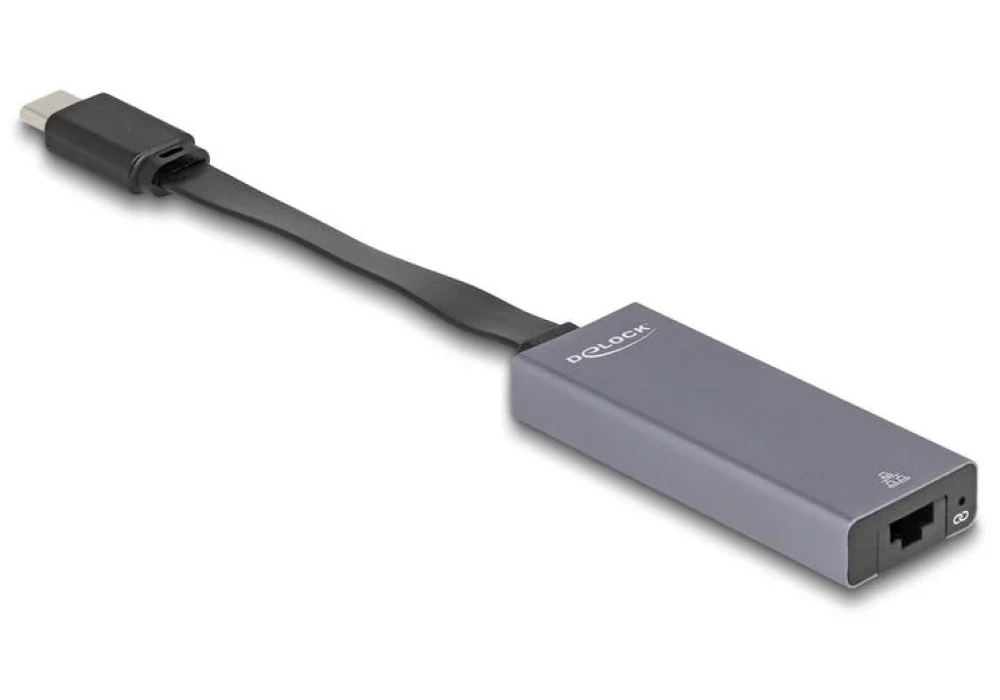 Delock Adaptateur USB Type-C à 2.5 Gigabit LAN, slim