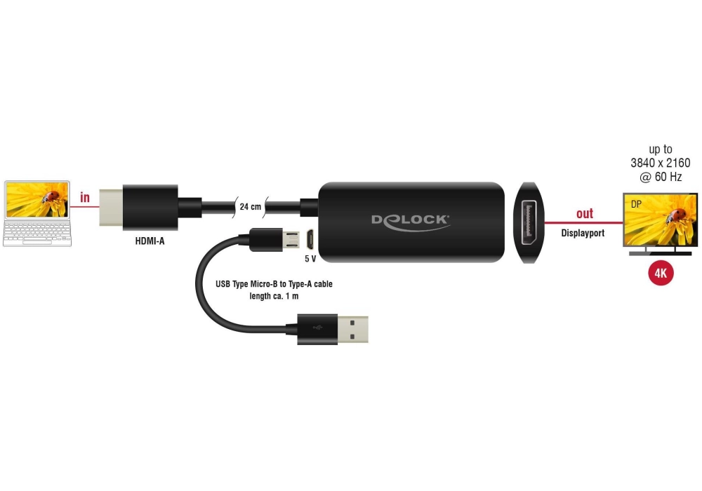 DeLOCK Adapter HDMI-A (M) > Displayport 1.2 (F)