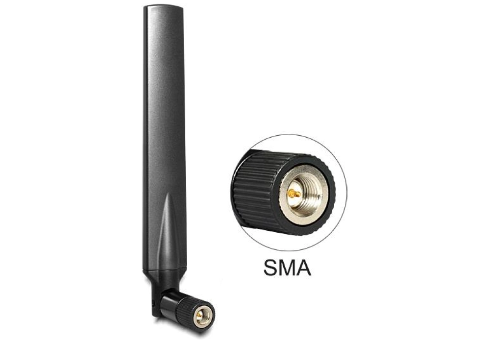 Delock Antenne LTE SMA SMA 4 dBi Rayonnement omni directionnel