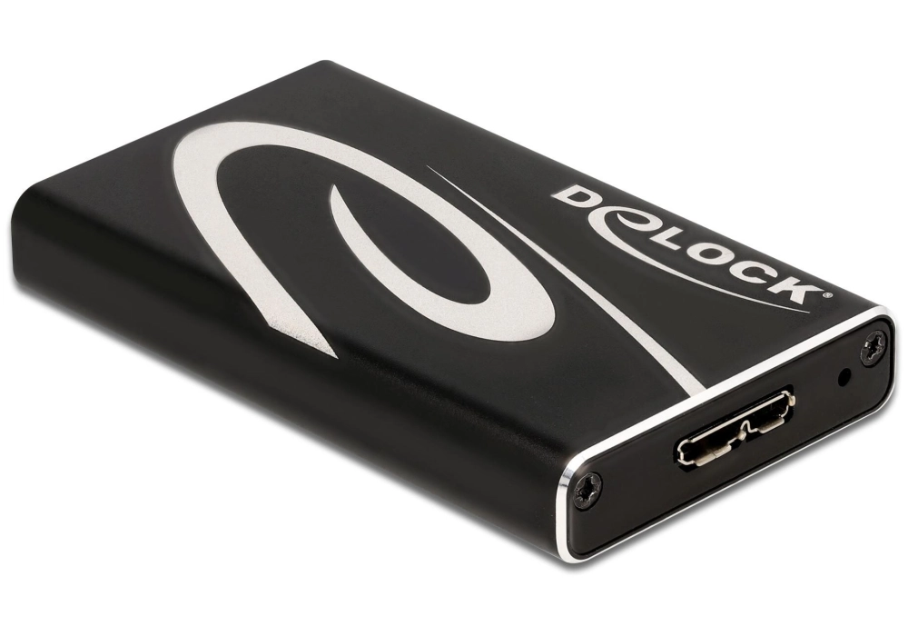 Delock Boîtier externe SuperSpeed USB pour mSATA