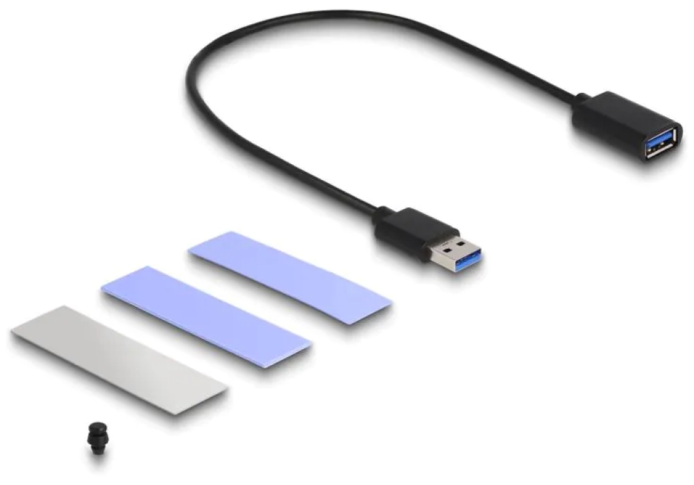 Delock Boîtier externe USB3.2 Gen 2 pour PS5 avec slot M.2 NVMe