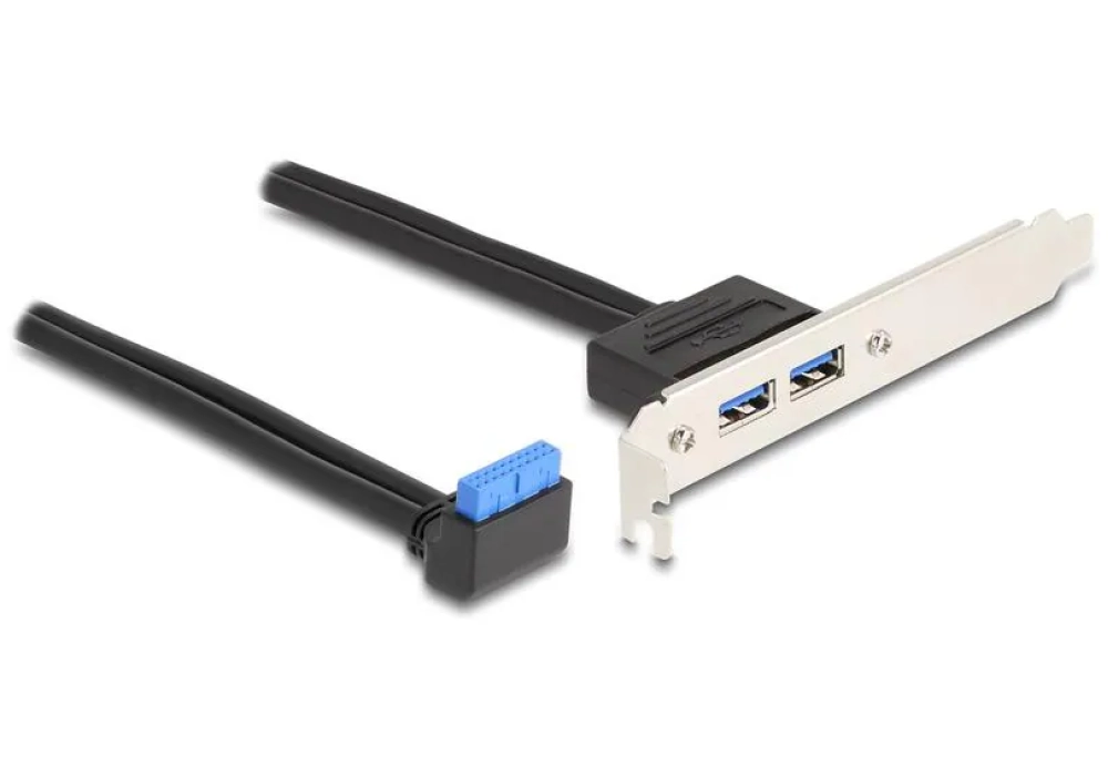 Delock Bracket Prise poteau USB 3.0 90°