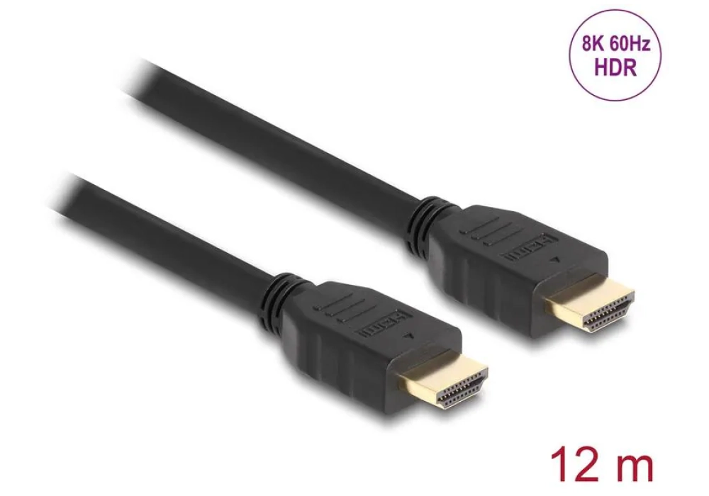 Delock Câble 8K 60Hz HDMI - HDMI, 12 m